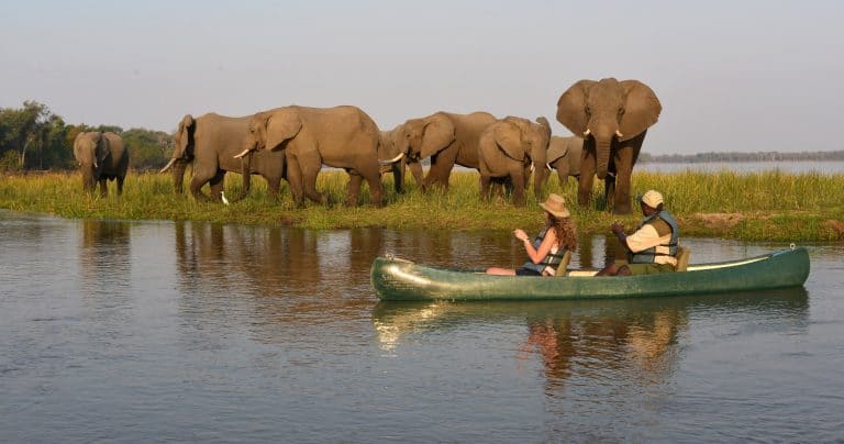 Canoeing on the Lower Zambezi
