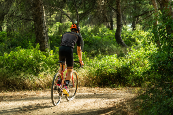 Cycling through Sani Forest